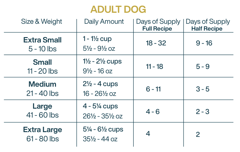 diy fish dog food serving guide